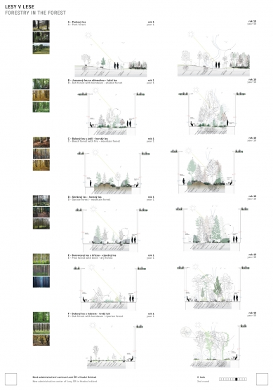 New Administrative Center of Czech Forests - Competition Results - 1. price - foto: CHYBIK + KRISTOF ASSOCIATED ARCHITECTS s. r. o. + K4 ARCHITECTS & ENGINEERS + Ing. Ivo Stolek