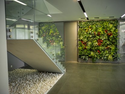 <p>GreenBo's green walls will enliven and heal your interiors</p>