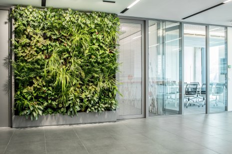 Zelené stěny GreenBo oživí a ozdraví vaše interiéry