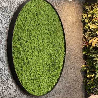 Moss walls and paintings will give your interior a harmonious piece of nature