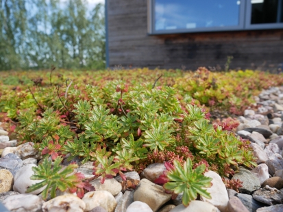 Textiles for minimal load green roofs