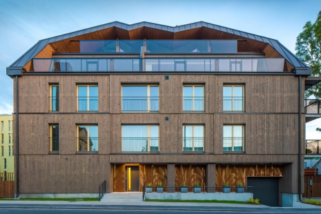 Trendy facades of apartment buildings: a design necessity or an architect's whim?