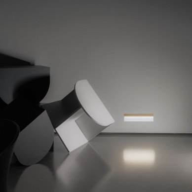 The company Delta Light expands its range of architectural lights - INLET TRIMLES