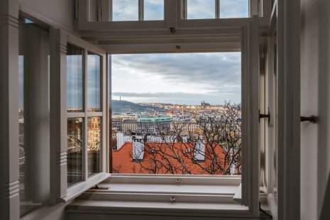 Paneled windows that will withstand the scrutiny of preservationists and maintain the historical character of buildings