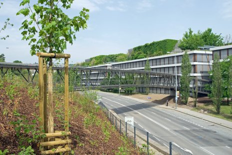 New ČSOB Building in Prague's Radlice: Perfect Acoustic Comfort and Unique Design